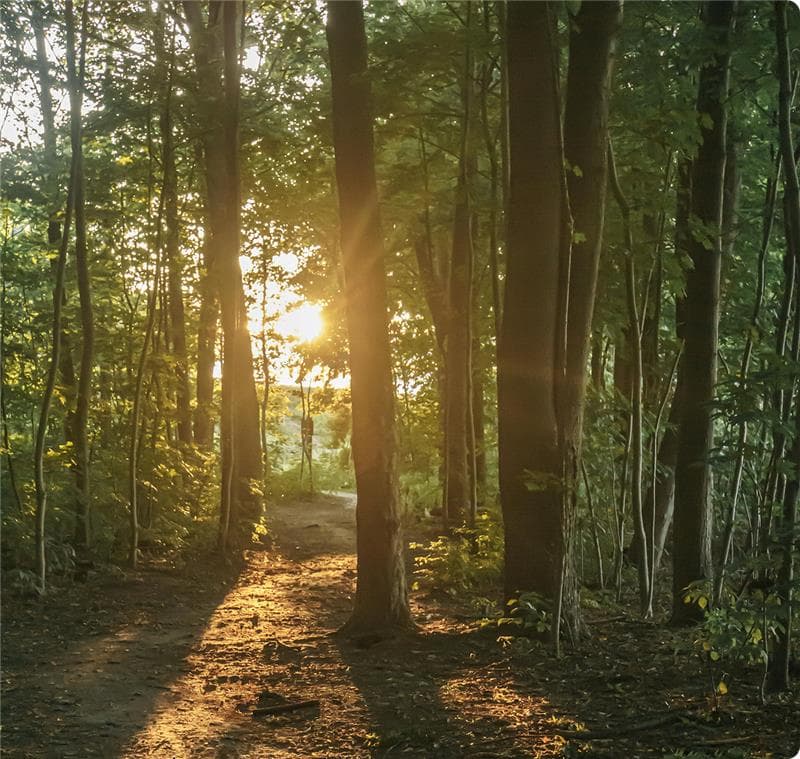 CheckUp & Choices Login Background Image